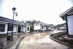 中志集团的富硒大米功能(大米硒的作用)-硒宝网