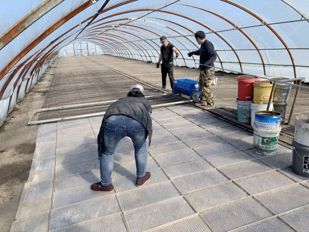 购买黑龙江宝清富硒大米(黑龙江省富硒大米)-硒宝网