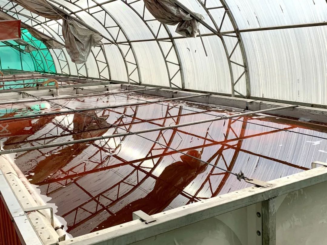 购买黑龙江宝清富硒大米(黑龙江省富硒大米)-硒宝网