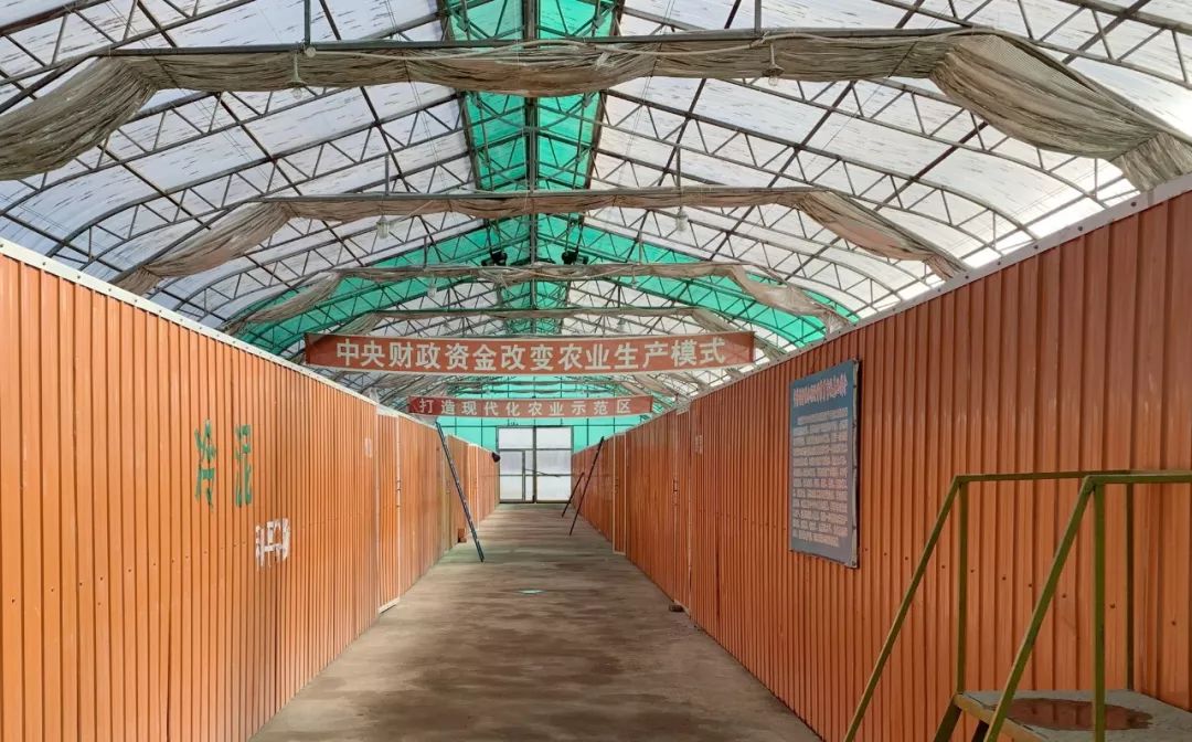 购买黑龙江宝清富硒大米(黑龙江省富硒大米)-硒宝网