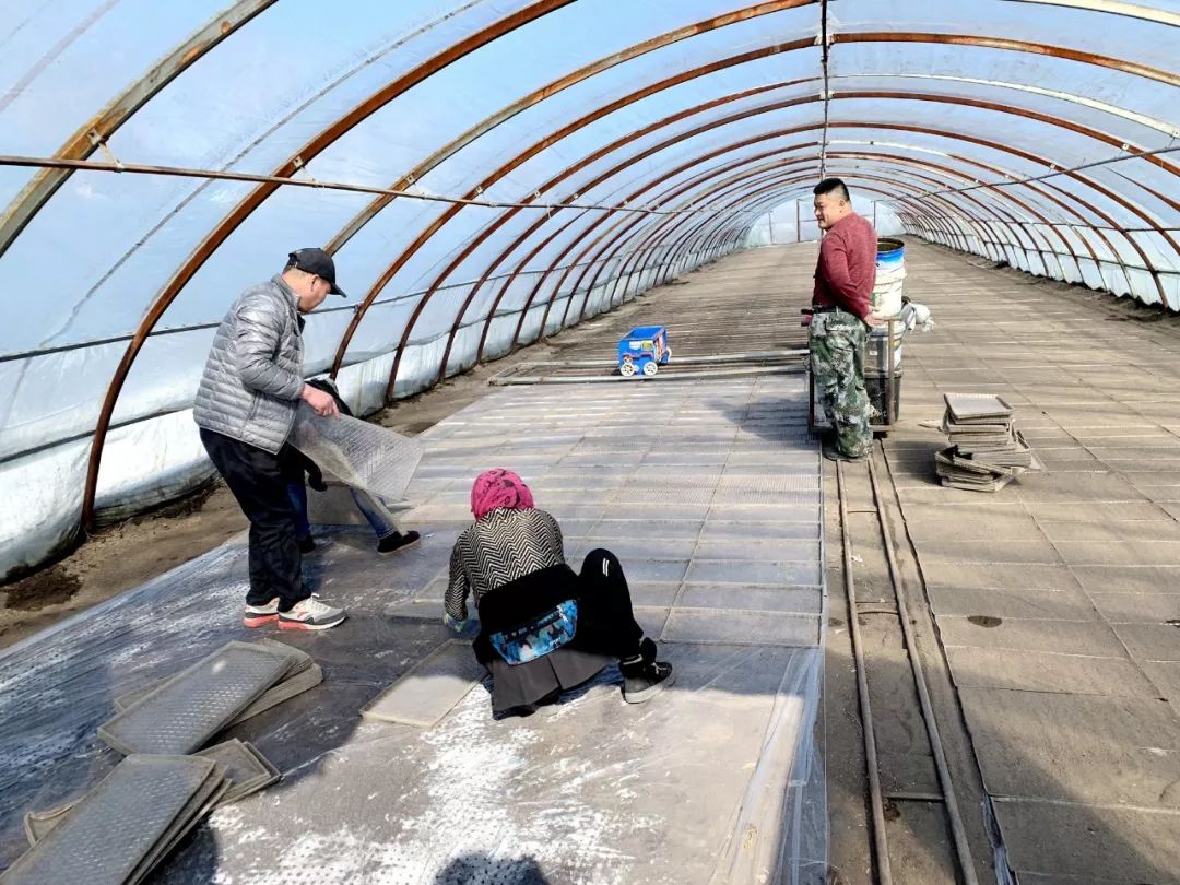 购买黑龙江宝清富硒大米(黑龙江省富硒大米)-硒宝网