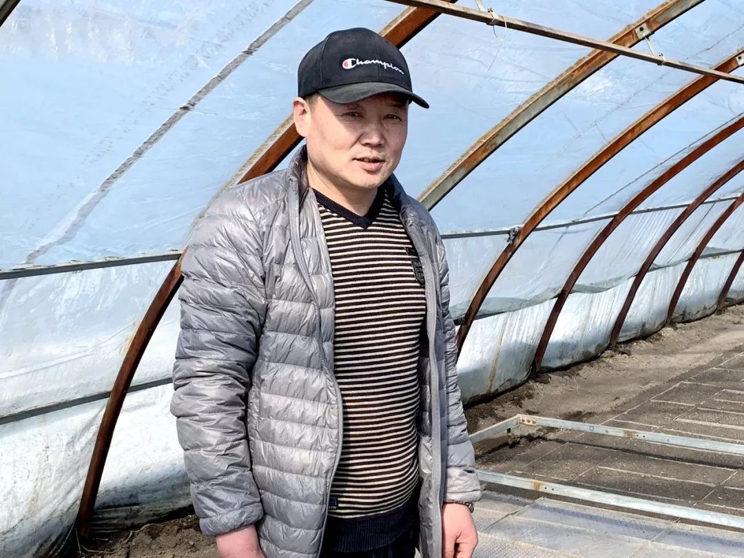 购买黑龙江宝清富硒大米(黑龙江省富硒大米)-硒宝网