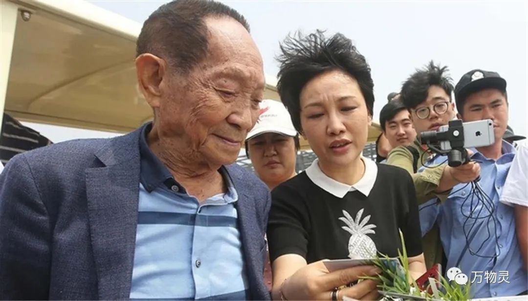 新疆广禾富硒大米好吃吗(富硒大米与普通大米区别)-硒宝网