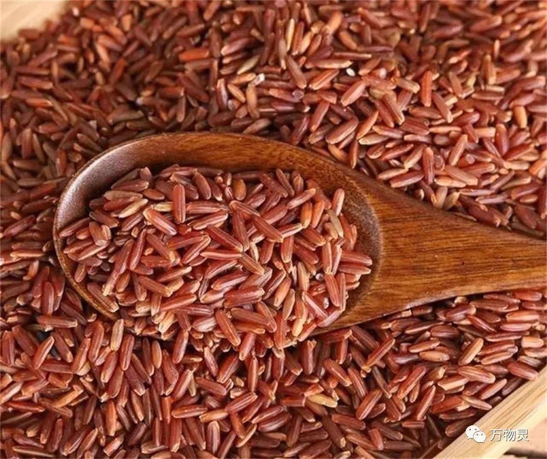 新疆广禾富硒大米好吃吗(富硒大米与普通大米区别)-硒宝网