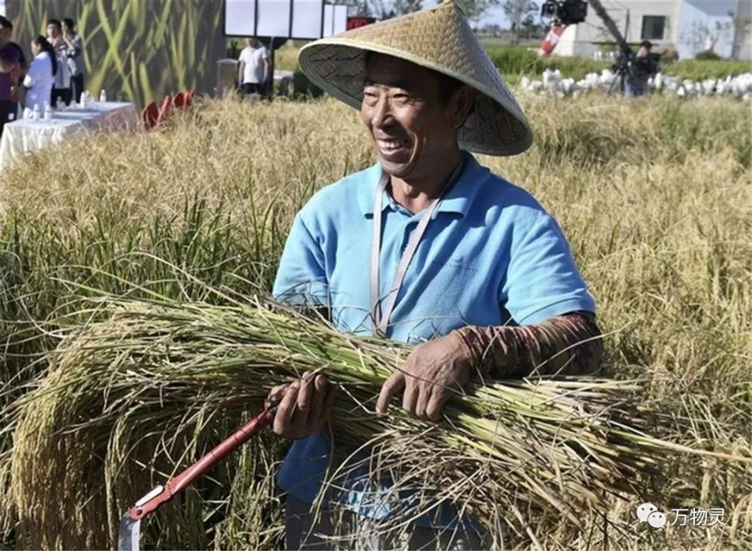 新疆广禾富硒大米好吃吗(富硒大米与普通大米区别)-硒宝网