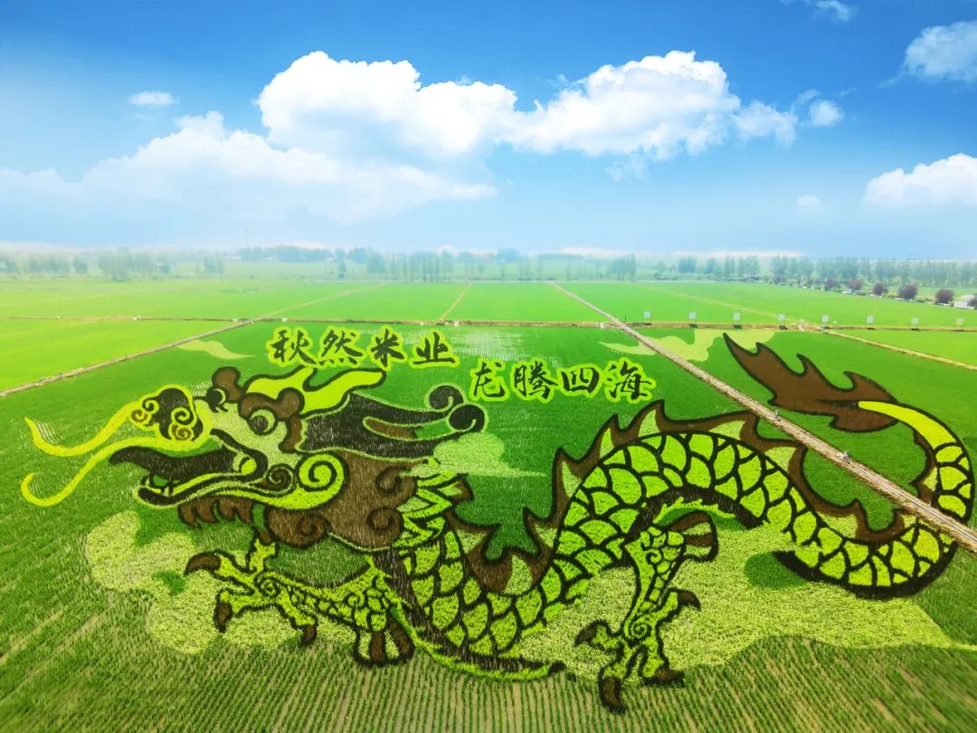 建山天然富硒大米好吗吗(富硒大米与普通大米区别)-硒宝网