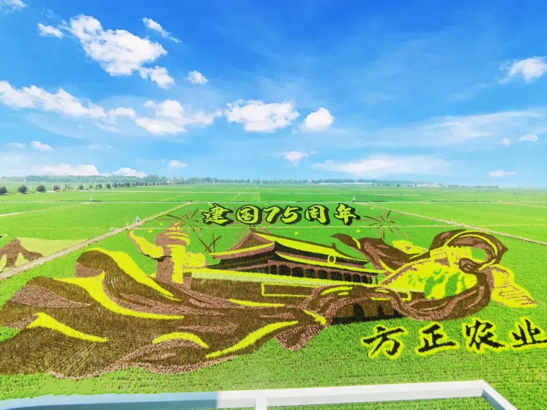 建山天然富硒大米好吗吗(富硒大米与普通大米区别)-硒宝网