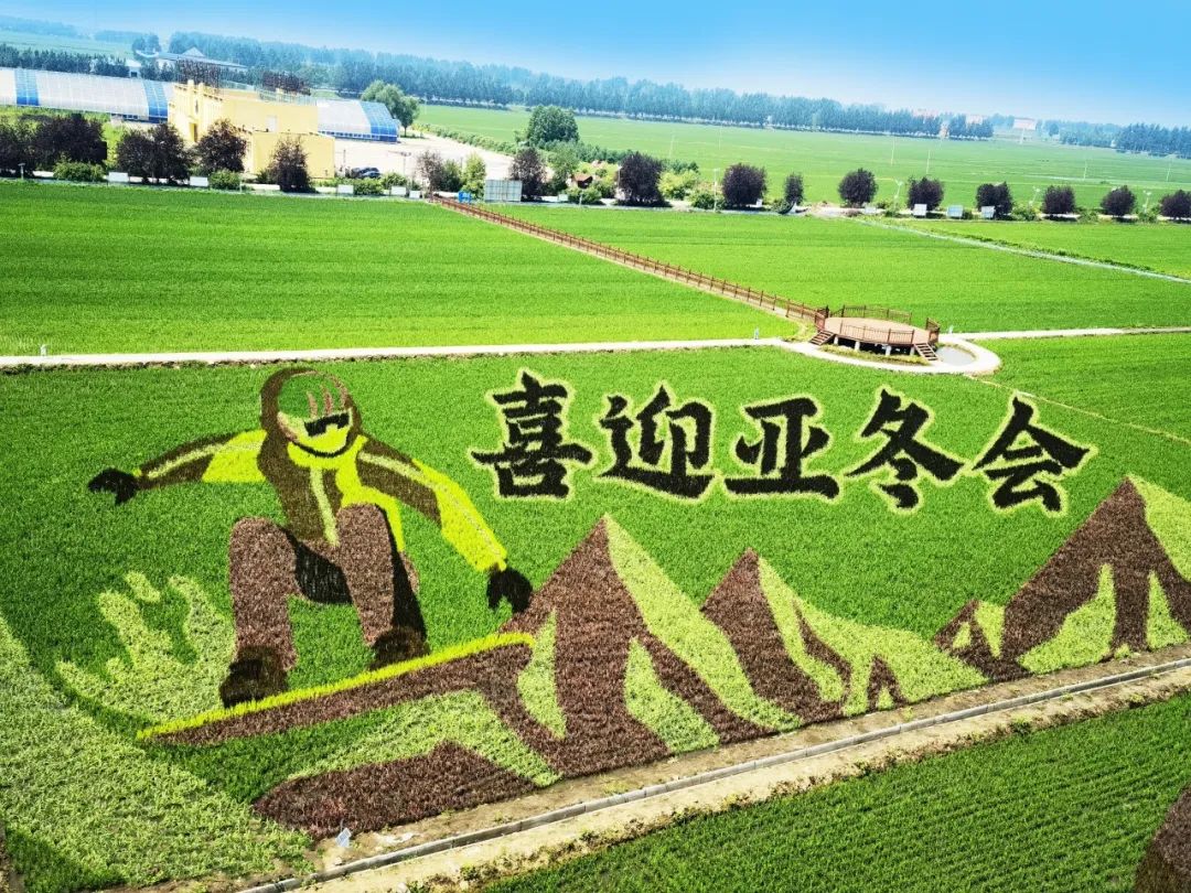 建山天然富硒大米好吗吗(富硒大米与普通大米区别)-硒宝网