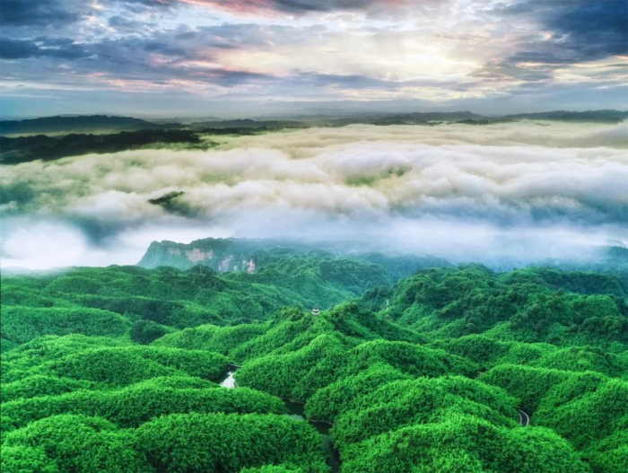 沐川县富硒大米产量多少（富硒大米基地）-硒宝网