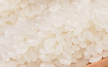 景阳富硒大米产地在哪里（景阳富硒米价格）-硒宝网