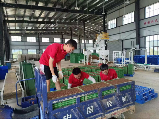 赣州富硒大米价格多少钱（赣南大米）-硒宝网