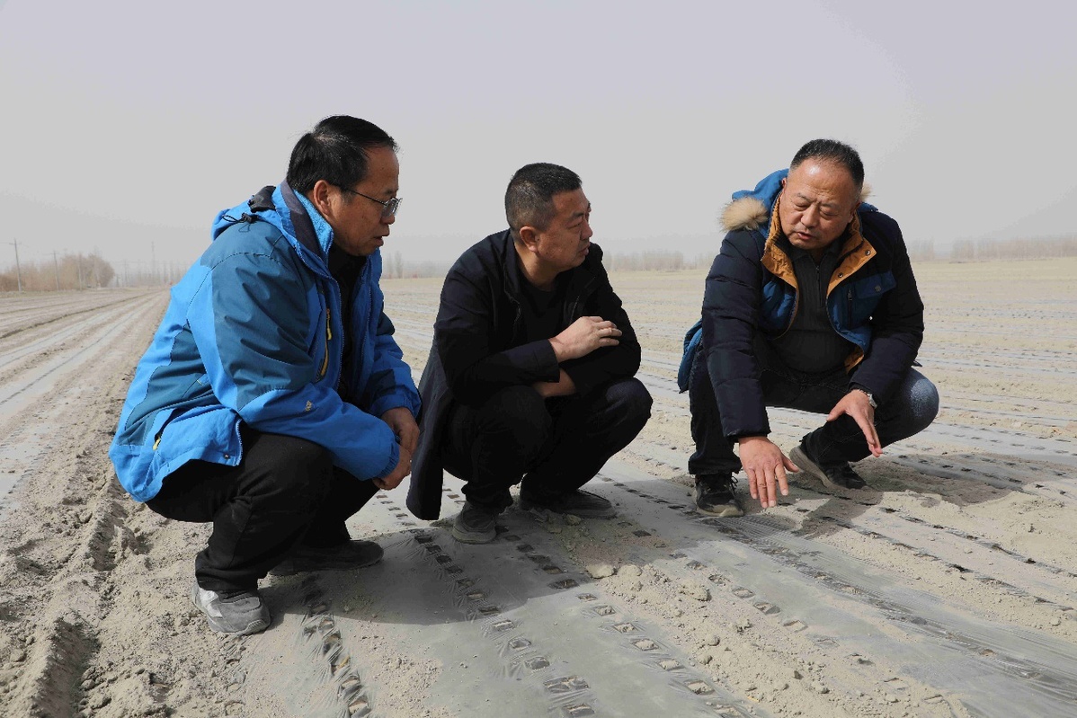 富硒大米阿克苏阿拉尔市(新疆阿拉尔大米)-硒宝网