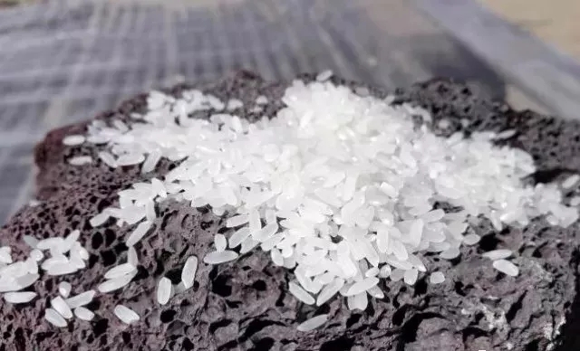 景阳富硒大米种子价格表（大米种子品牌）-硒宝网