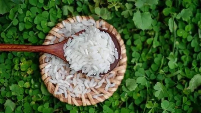 景阳富硒大米种子价格表（大米种子品牌）-硒宝网