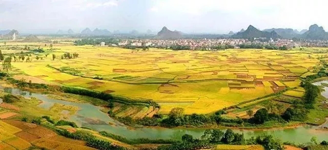 景阳富硒大米种子价格表（大米种子品牌）-硒宝网