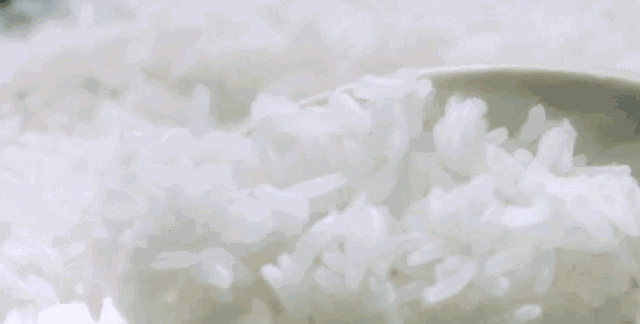 为什么吃富硒大米会胖人（大米胖吃富硒会人变瘦吗）-硒宝网