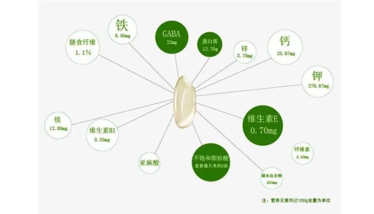 为什么吃富硒大米会胖人（大米胖吃富硒会人变瘦吗）-硒宝网