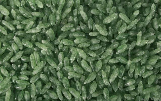 富硒玉米大米价格多少钱（富硒大米的价格）-硒宝网