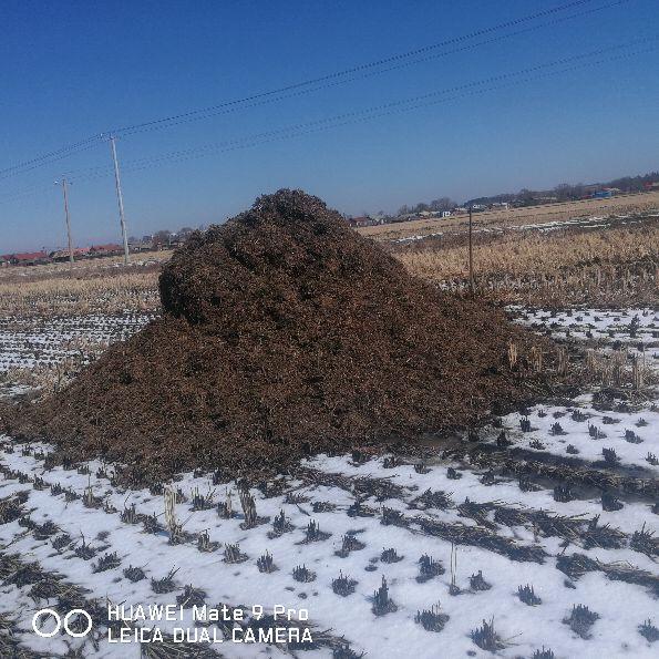 富硒大米什么口感好一点(富硒大米什么味道)-硒宝网