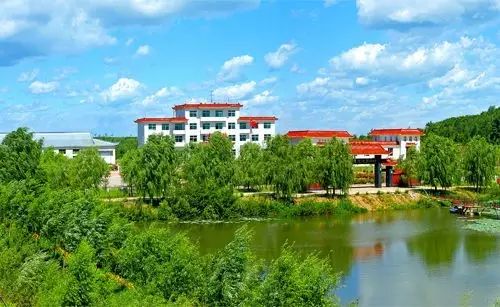 东北海伦富硒大米好不好（黑龙江海伦大米价格表）-硒宝网