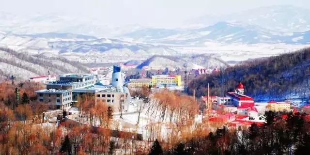 东北海伦富硒大米好不好（黑龙江海伦大米价格表）-硒宝网