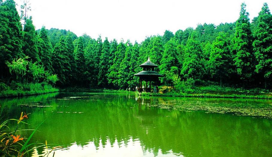 东北海伦富硒大米好不好（黑龙江海伦大米价格表）-硒宝网