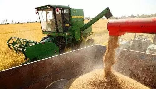 东北海伦富硒大米好不好（黑龙江海伦大米价格表）-硒宝网