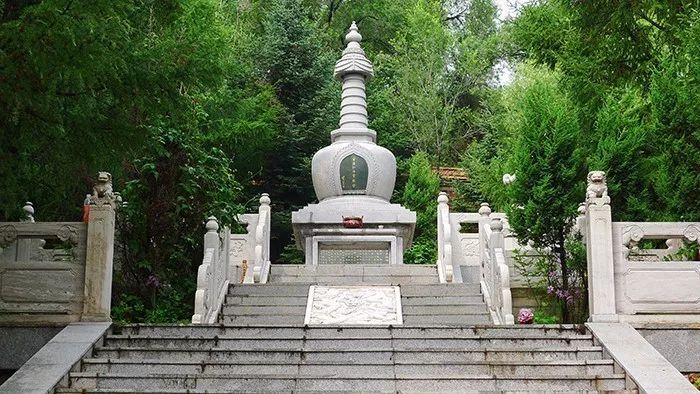 东北海伦富硒大米好不好（黑龙江海伦大米价格表）-硒宝网