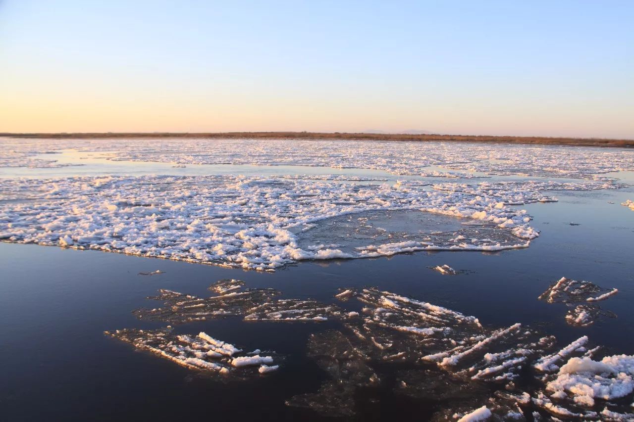 东北海伦富硒大米好不好（黑龙江海伦大米价格表）-硒宝网