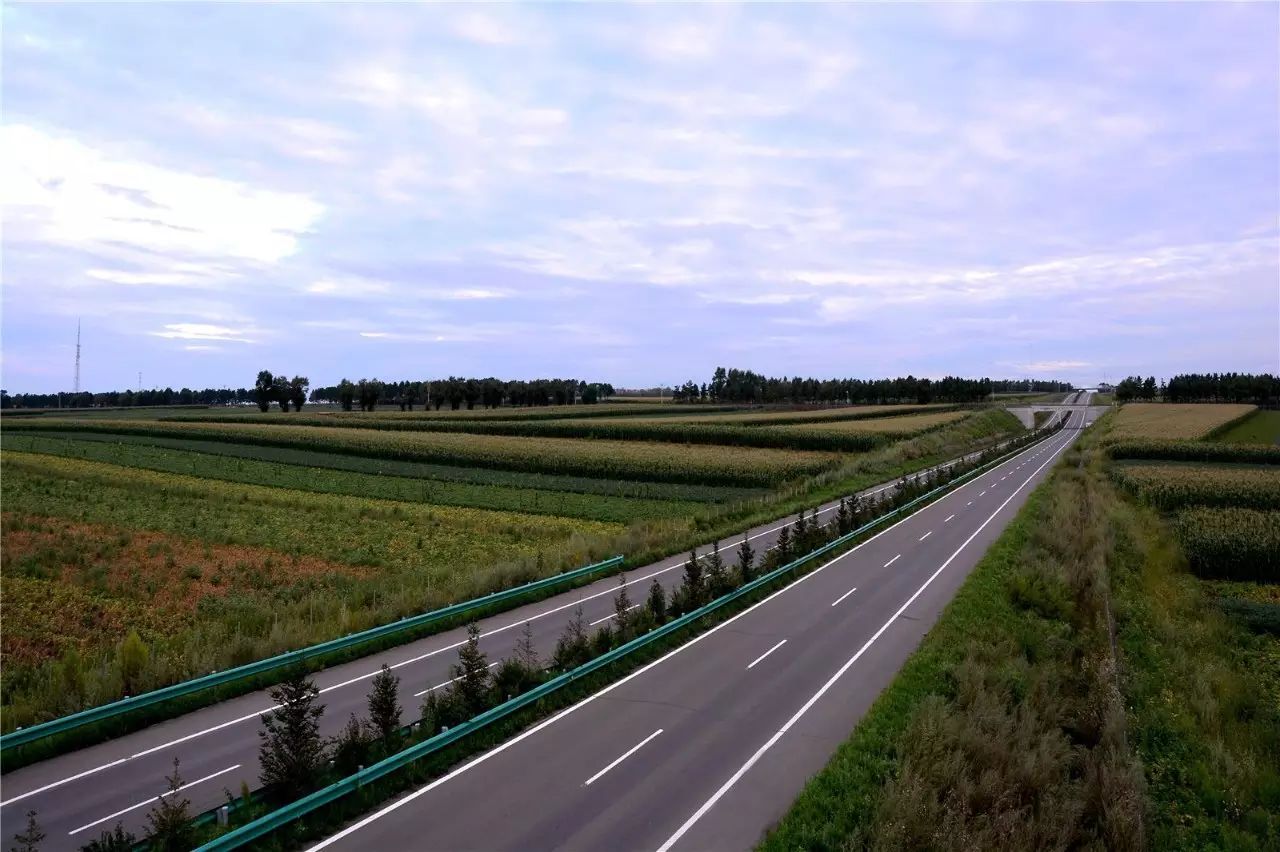 东北海伦富硒大米好不好（黑龙江海伦大米价格表）-硒宝网