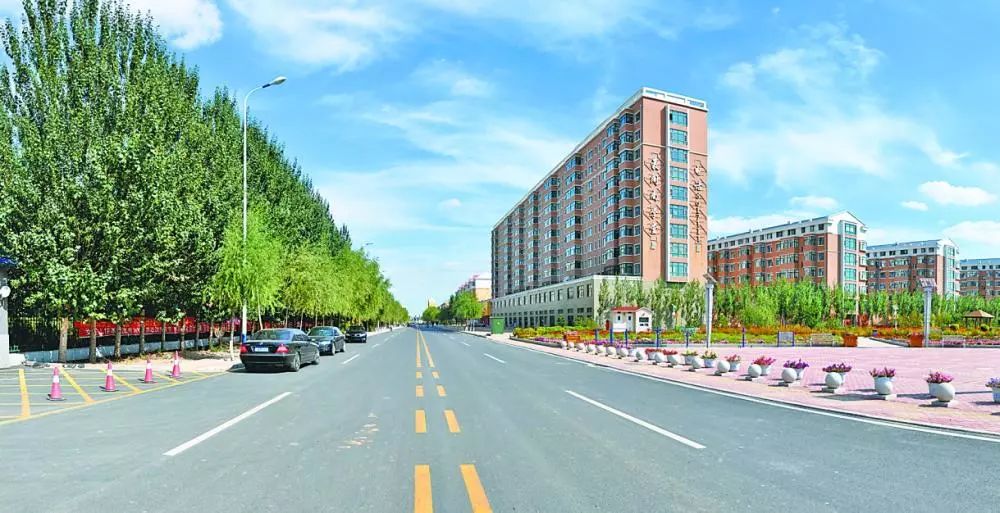 东北海伦富硒大米好不好（黑龙江海伦大米价格表）-硒宝网