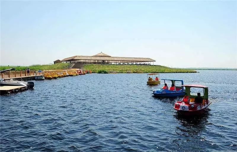 东北海伦富硒大米好不好（黑龙江海伦大米价格表）-硒宝网