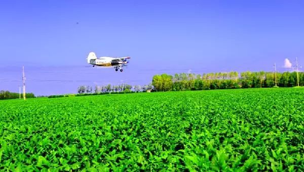 东北海伦富硒大米好不好（黑龙江海伦大米价格表）-硒宝网
