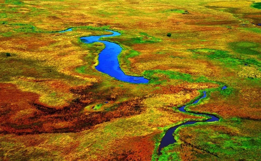 东北海伦富硒大米好不好（黑龙江海伦大米价格表）-硒宝网