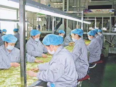 东北海伦富硒大米好不好（黑龙江海伦大米价格表）-硒宝网