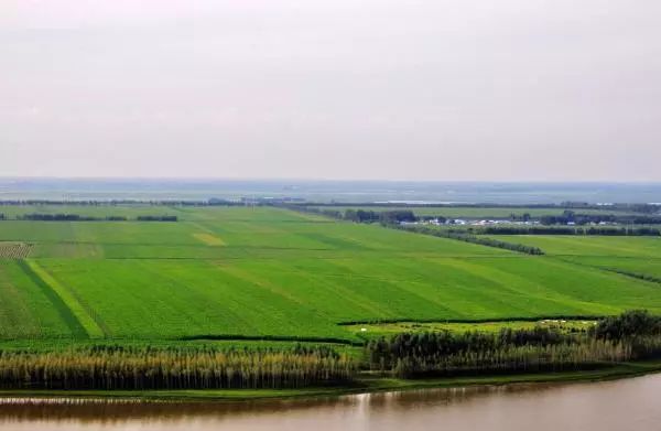 东北海伦富硒大米好不好（黑龙江海伦大米价格表）-硒宝网