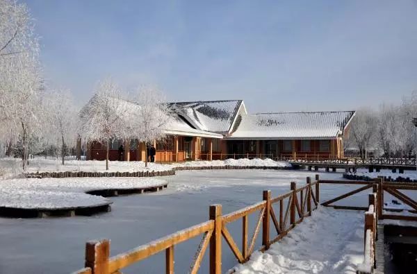 东北海伦富硒大米好不好（黑龙江海伦大米价格表）-硒宝网