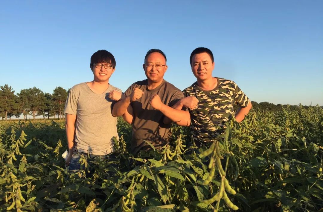 黑龙江海伦富硒大米销售(黑龙江产的富硒大米哪里有卖)-硒宝网