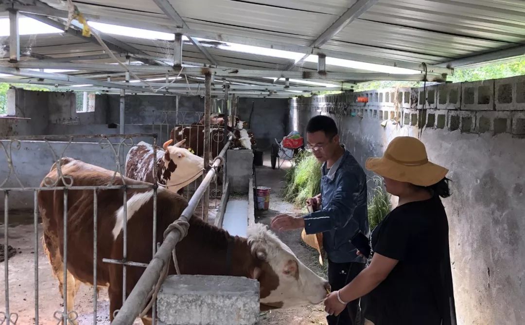 黑龙江海伦富硒大米销售(黑龙江产的富硒大米哪里有卖)-硒宝网