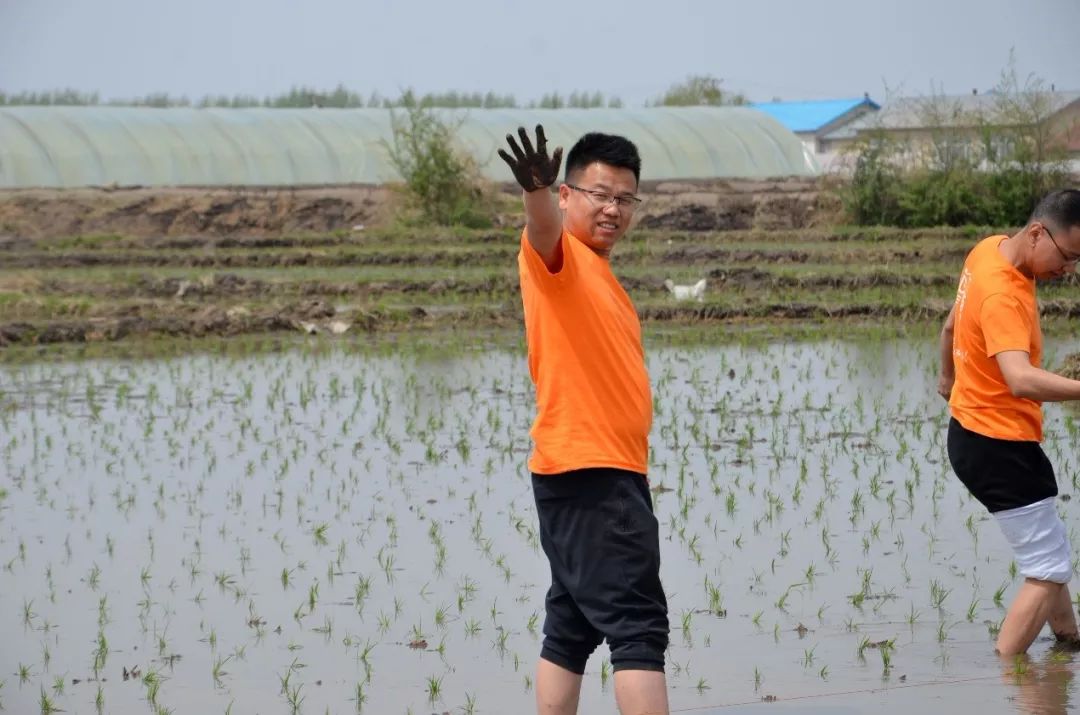 东北海伦富硒大米好不好（东北海伦富硒大米价格）-硒宝网