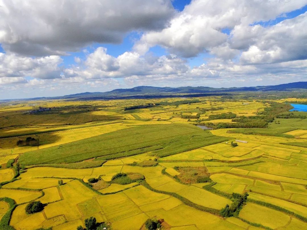 东北海伦富硒大米好不好（东北海伦富硒大米价格）-硒宝网