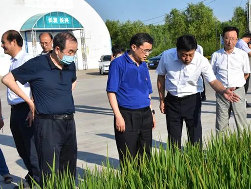 黑龙江海伦富硒大米销售(黑龙江富硒大米多少钱一斤)-硒宝网