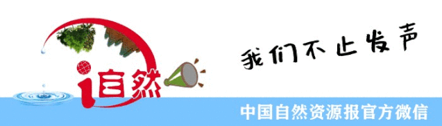 黑龙江海伦富硒大米销售(黑龙江大米厂)-硒宝网