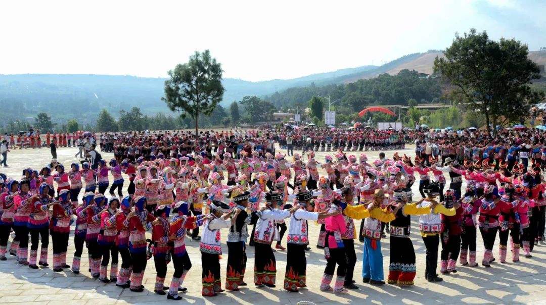 黑龙江海伦富硒大米销售(黑龙江大米厂)-硒宝网