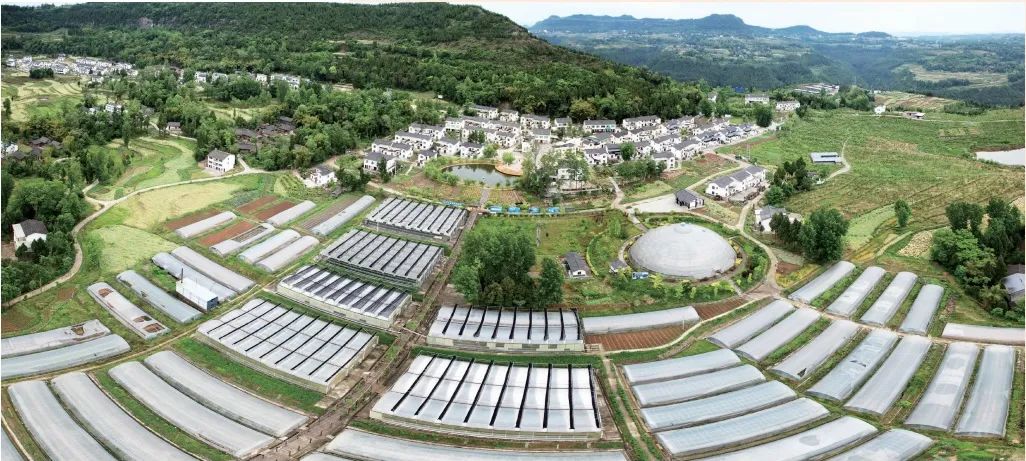 黑龙江海伦富硒大米销售(黑龙江大米厂)-硒宝网