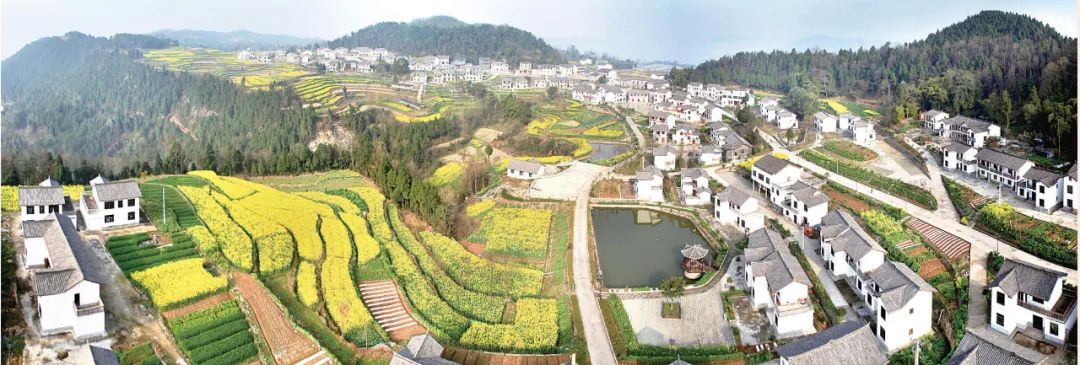 黑龙江海伦富硒大米销售(黑龙江大米厂)-硒宝网