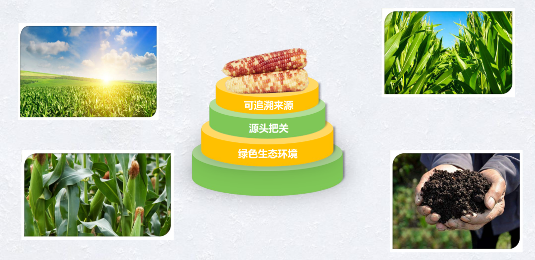 五常富硒大米 500g(富硒米好吃还是五常米好吃)-硒宝网