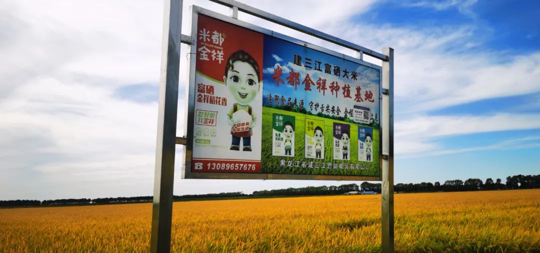 富硒大米江苏省哪里有卖(富硒大米哪里好)-硒宝网