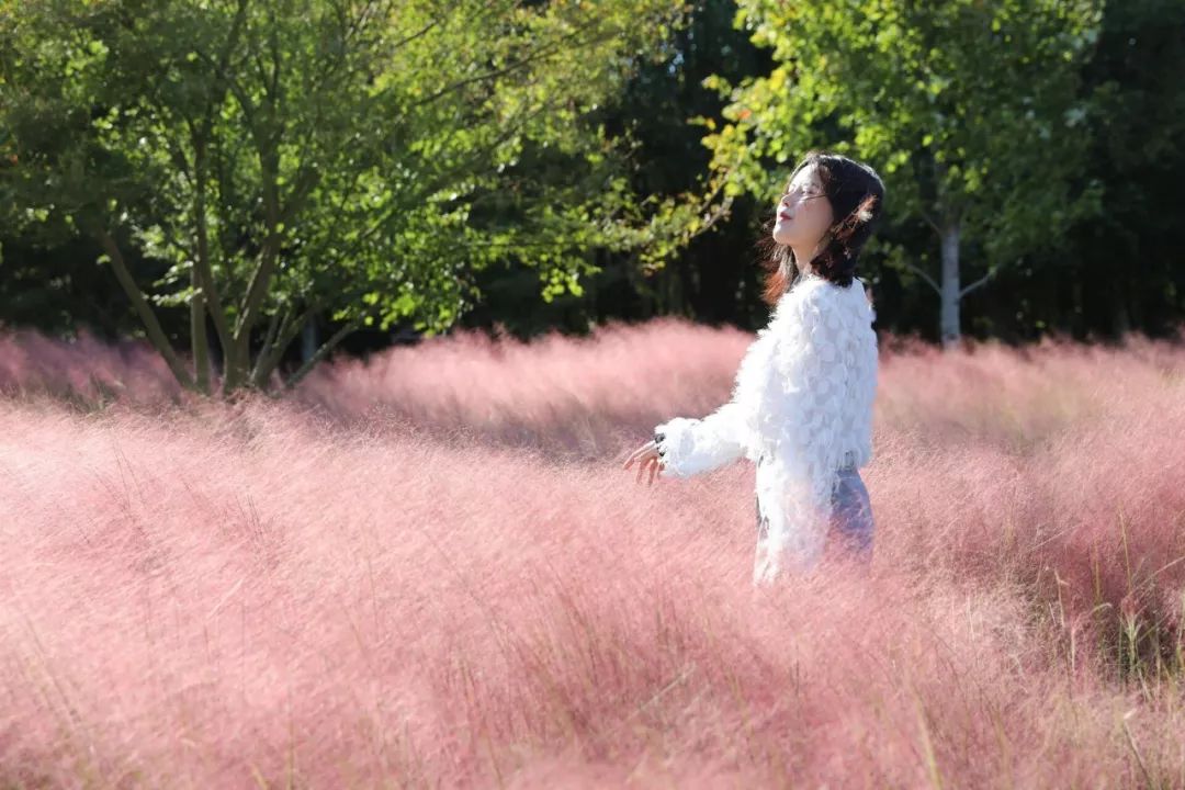 安远县富硒大米价格多少(万安富硒大米)-硒宝网