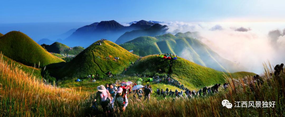 安远县富硒大米价格多少(万安富硒大米)-硒宝网